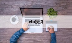 eln投资(elna是什么品牌)